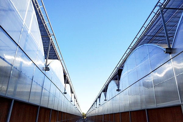 Polycarbonate Greenhouse Panel