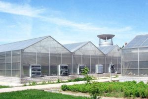 Manufacturer of Polycarbonate greenhouse sheet in China