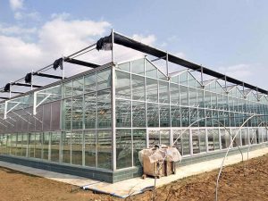 Glass Greenhouse Sheet