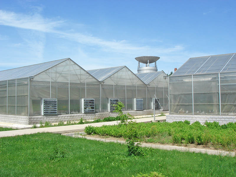 Polycarbonate Greenhouse