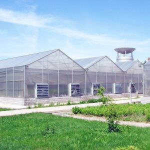 Polycarbonate Greenhouse