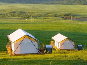 Custom Canvas Cottage Tent