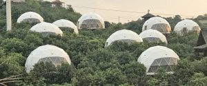 Geodesic Dome